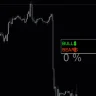 Training Bulls Bears Strength Indicator For MT4